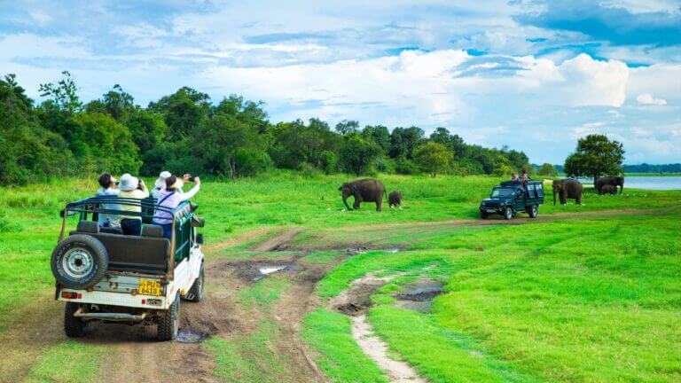 Sri Lanka Itinerary | Customizable Tours, Adventure, Culture & Relaxation
